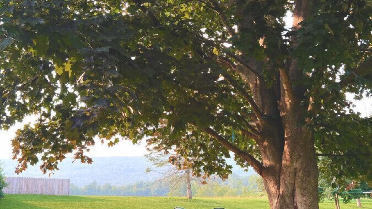 Photo of Outdoor in Allenwood