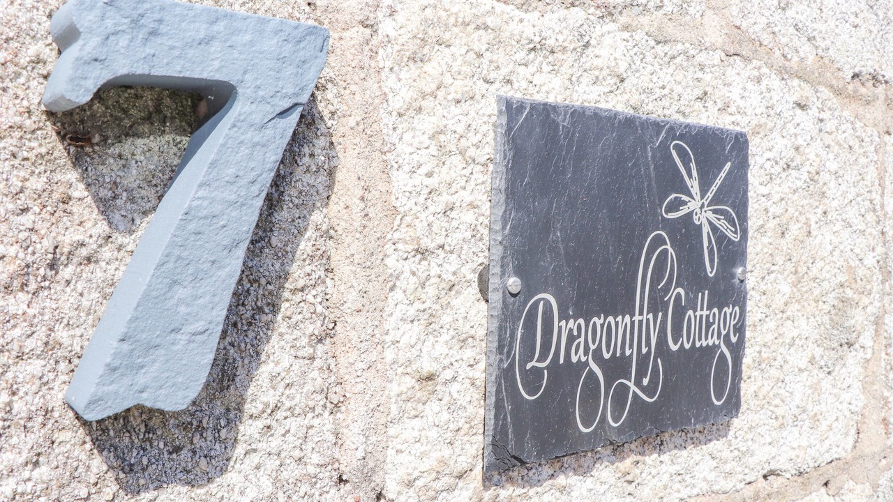 Photo of Others in St. Stephen