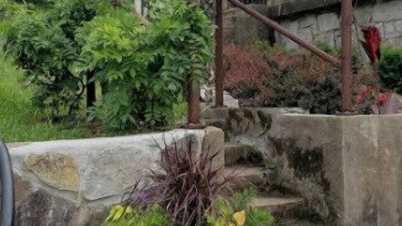 Photo of Outdoor in Grove