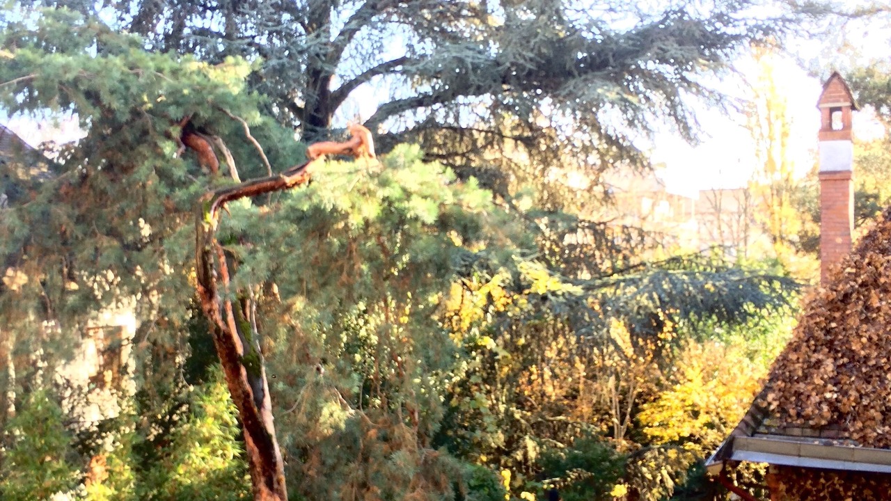 Photo of Outdoor in Prince–Marmottan