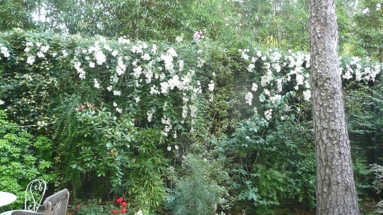 Photo of Outdoor in Prince–Marmottan