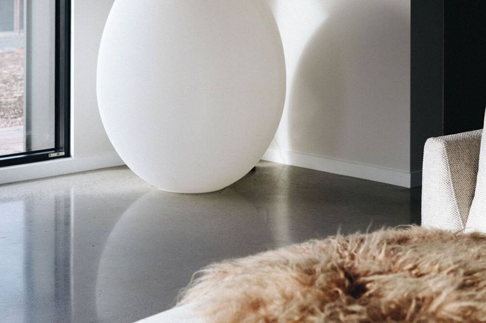 Photo of Others in Forrest