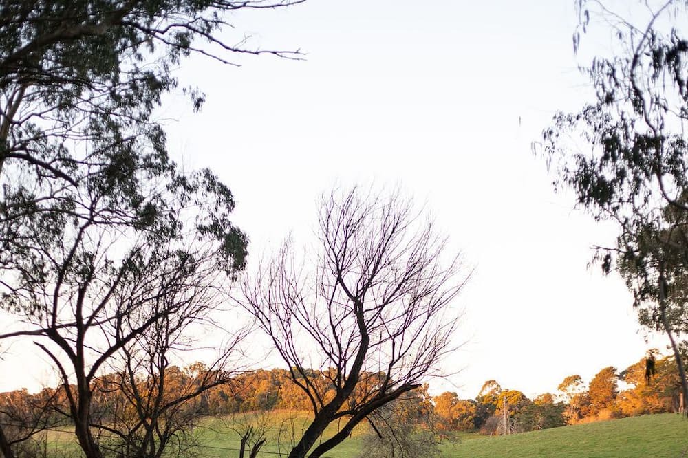 Photo of Outdoor in Forrest