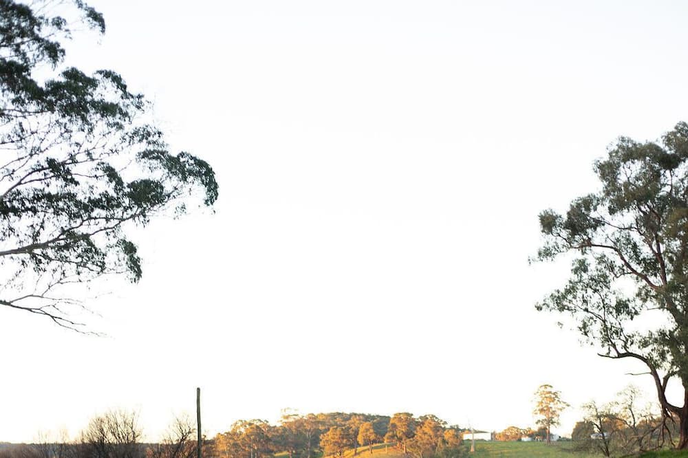 Photo of Outdoor in Forrest