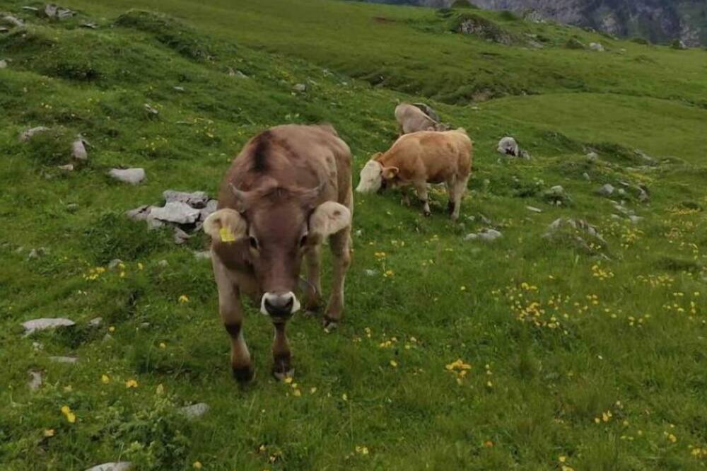 Photo of Outdoor in Kandersteg
