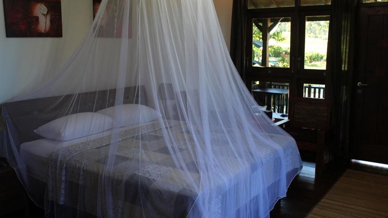 Photo of Bedroom in Munduk