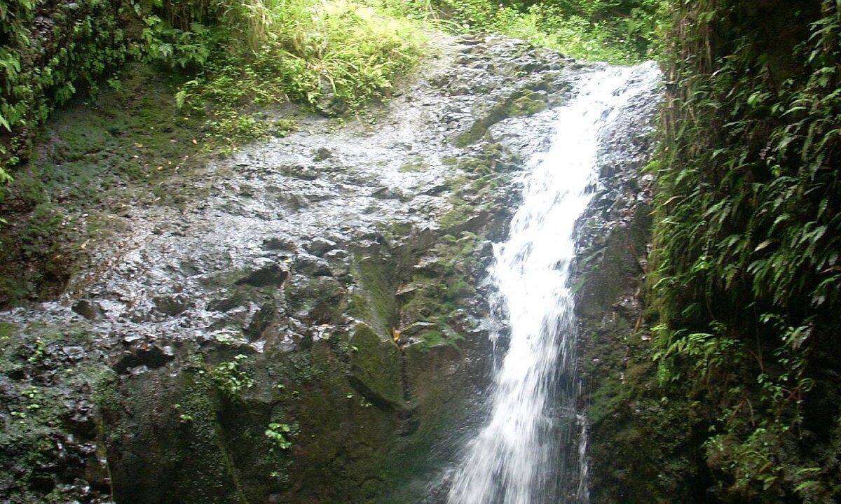 Photo of Outdoor in Keolu Hills