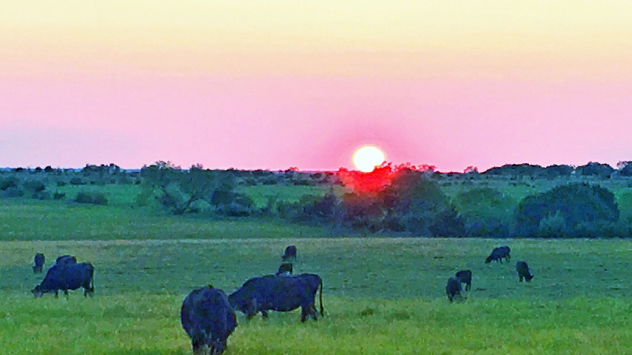 Photo of Others in Burnet
