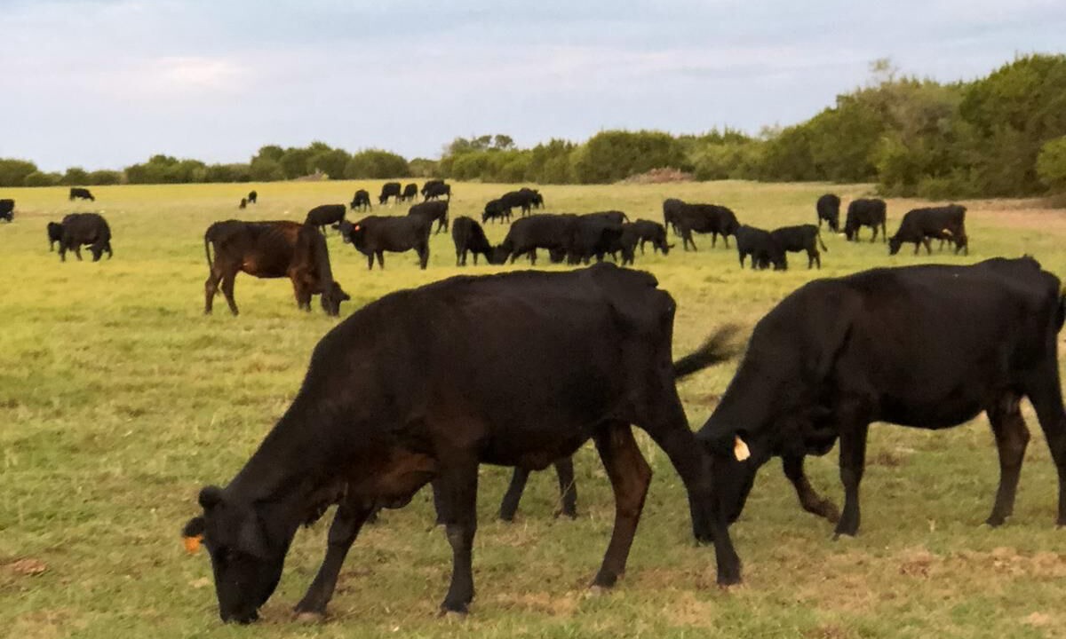 Photo of Others in Burnet