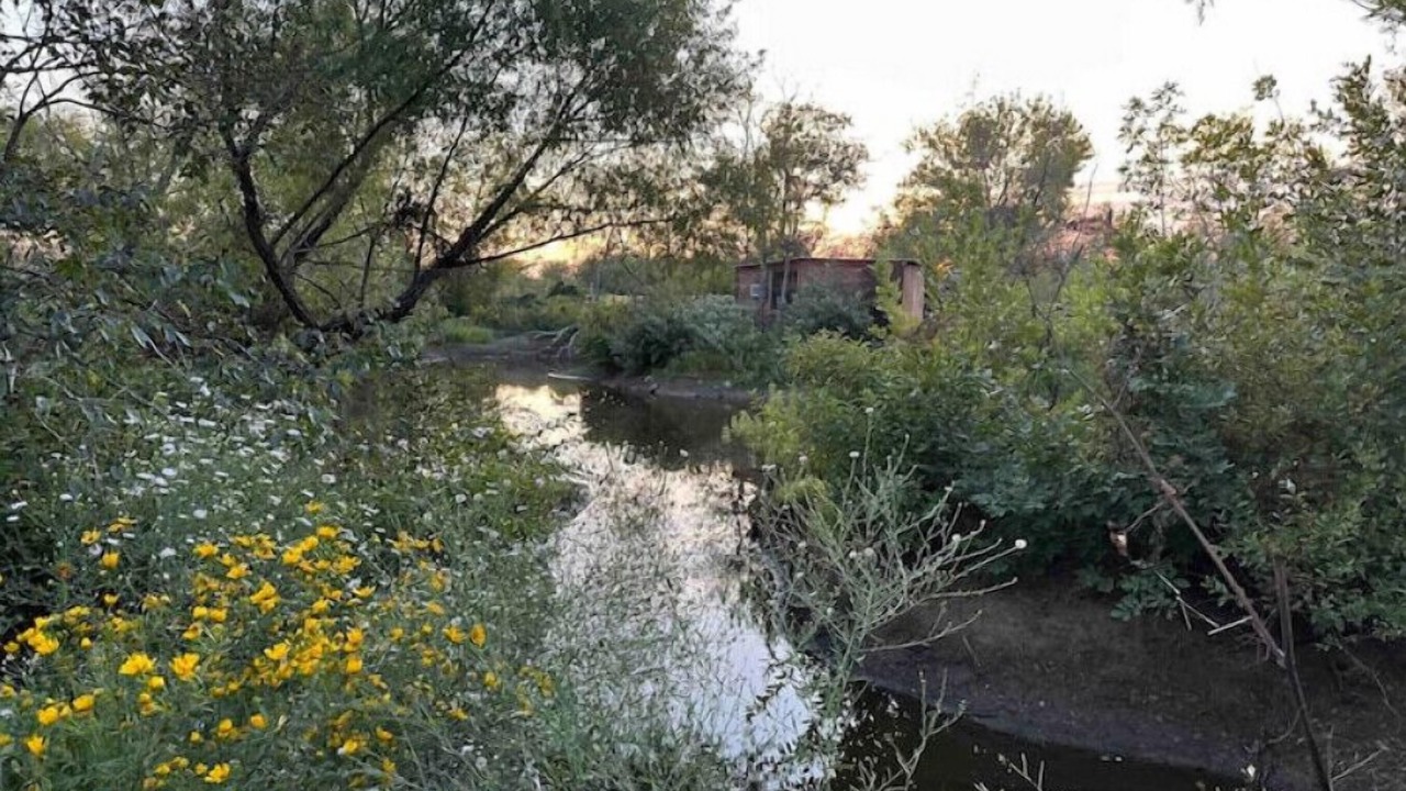Photo of Outdoor in Pryor