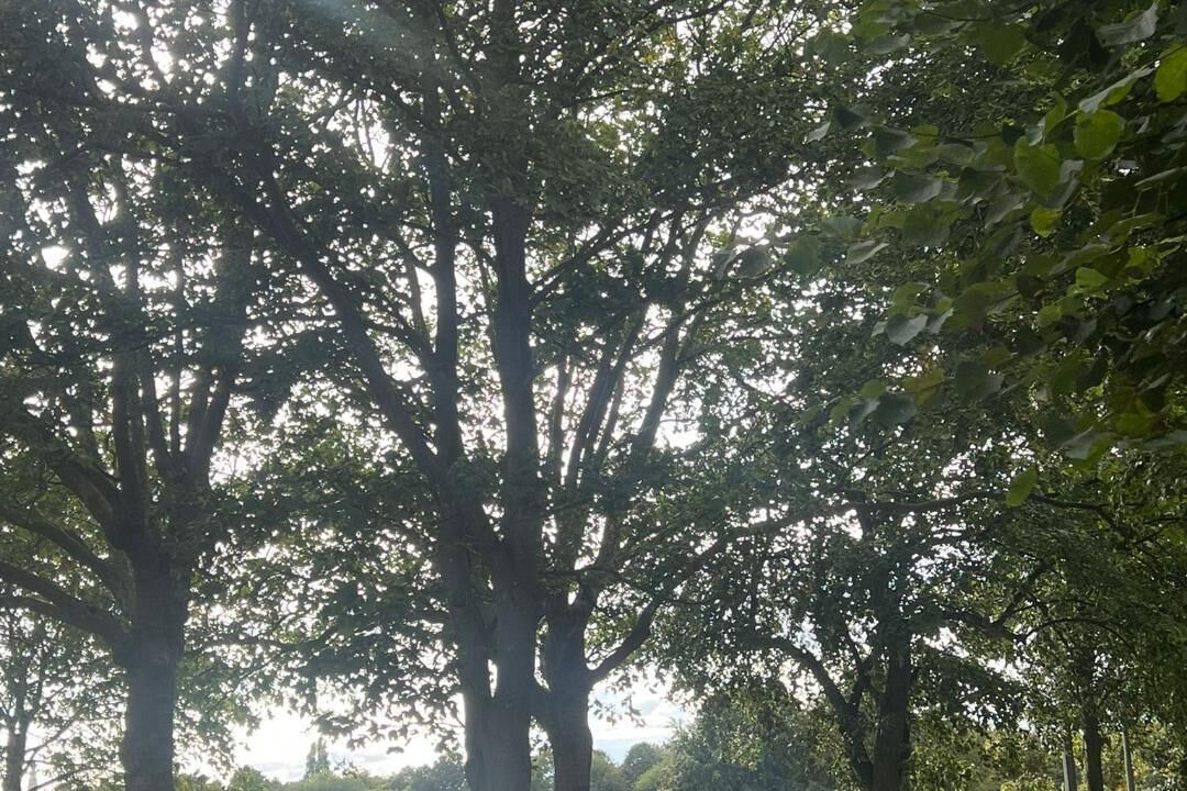 Photo of Outdoor in Gillingham