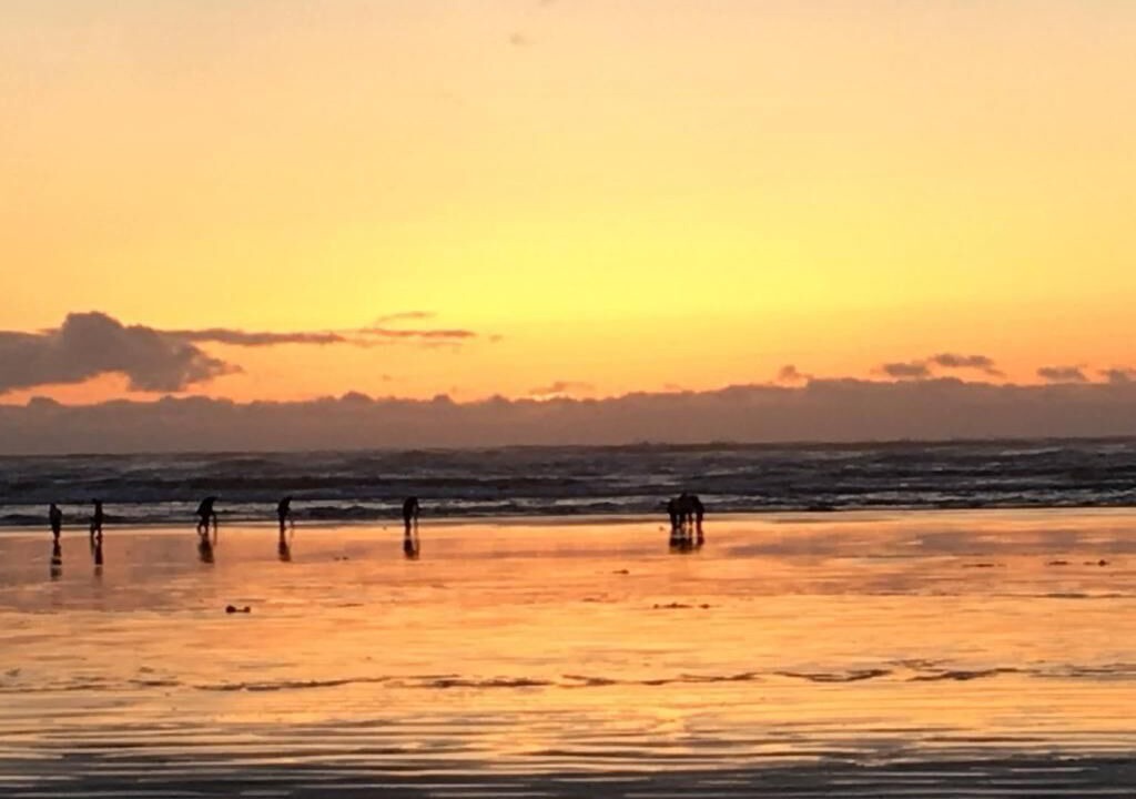 Photo of Others in Copalis Beach