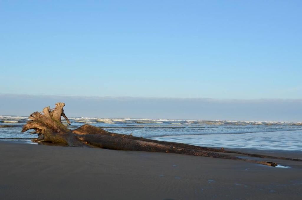 Photo of Others in Copalis Beach
