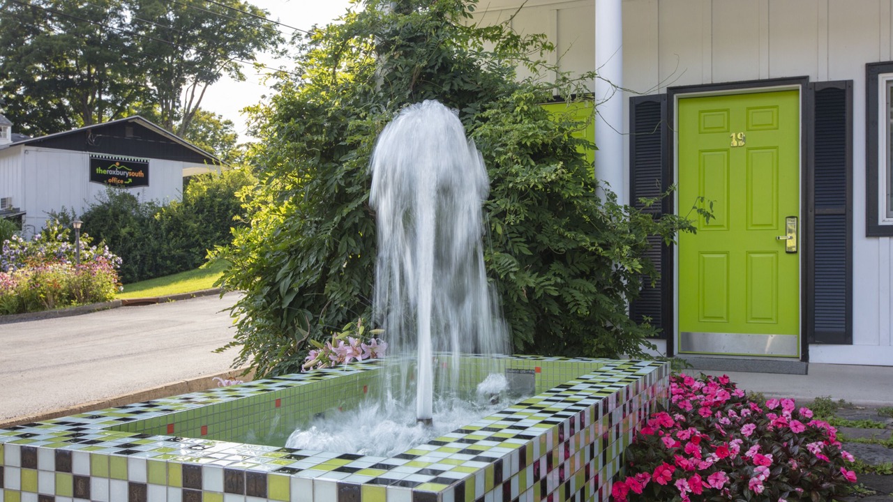 Photo of Outdoor in Roxbury