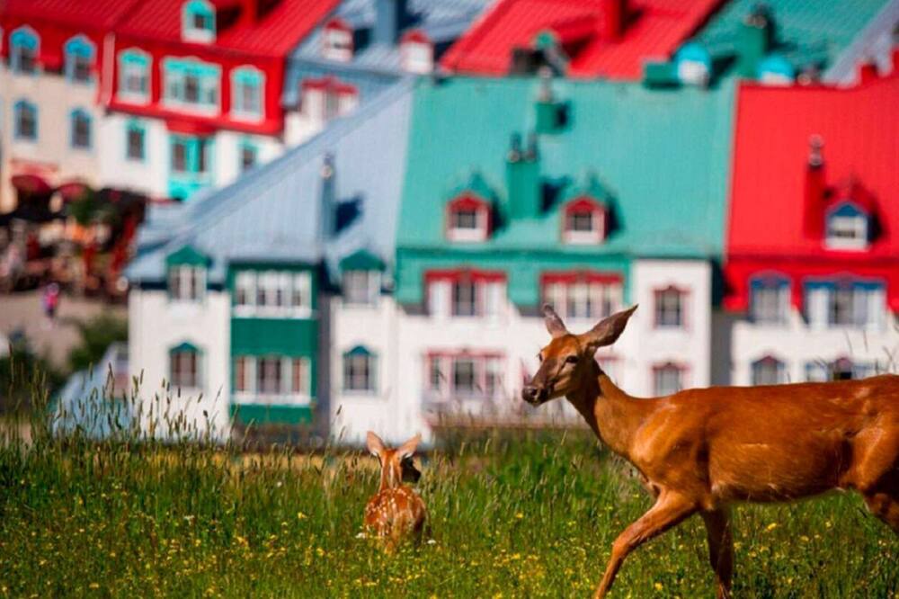 Photo of Others in Mont-Tremblant