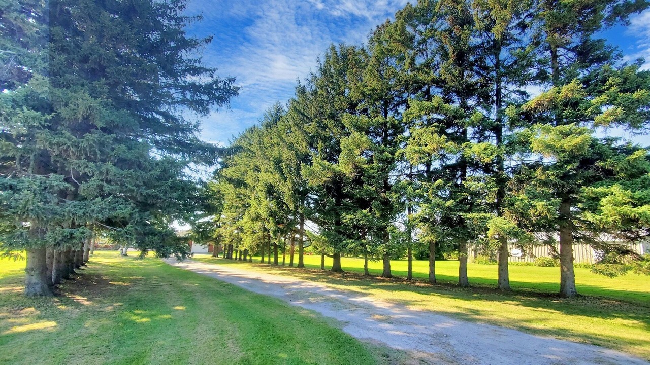 Photo of Outdoor in Virgil
