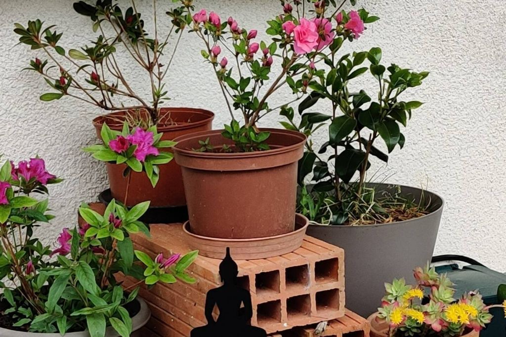 Photo of Outdoor in Beaumont-sur-Leze