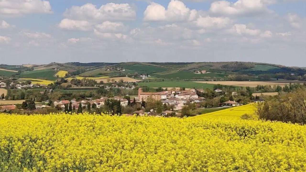 Photo of Outdoor in Beaumont-sur-Leze