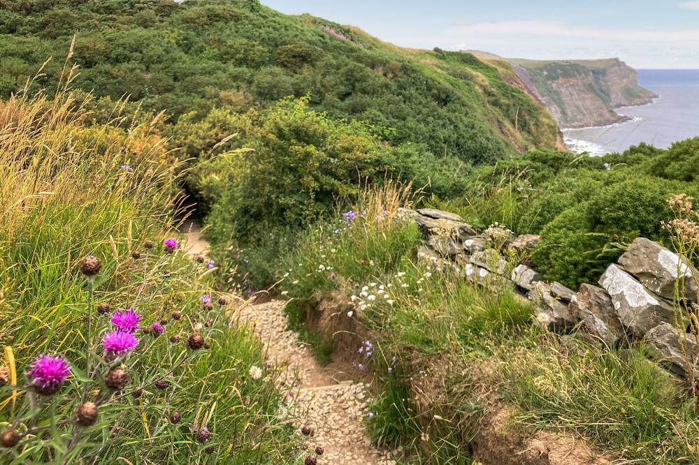 Photo of Outdoor in Great Ayton