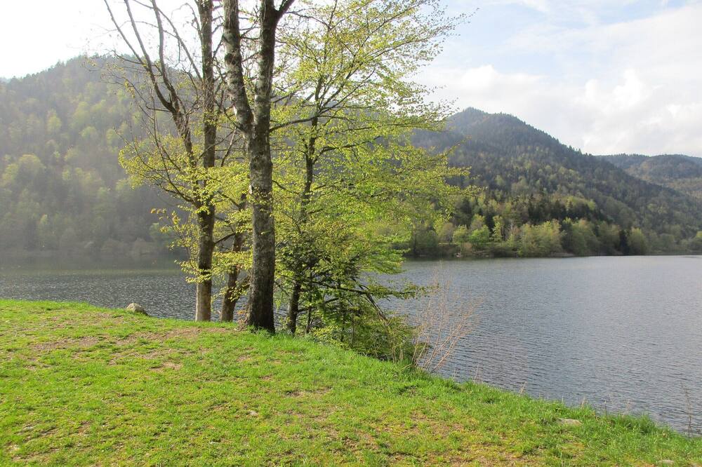 Photo of Outdoor in Saint-Amarin