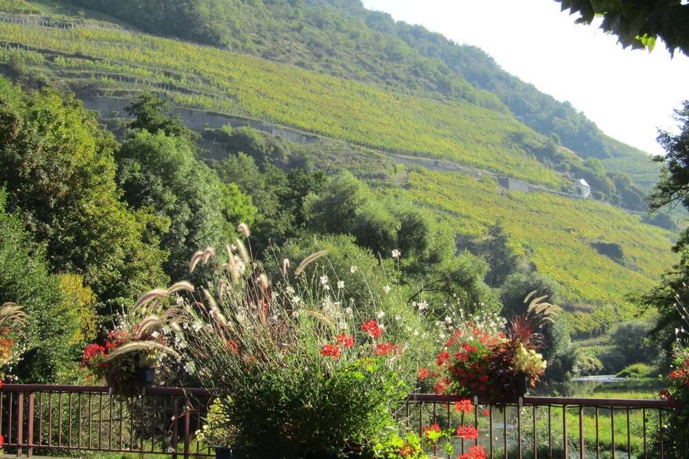 Photo of Others in Saint-Amarin