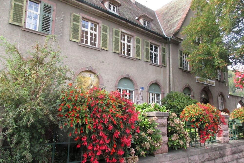 Photo of Outdoor in Saint-Amarin