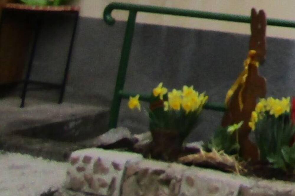 Photo of Outdoor in Saint-Amarin