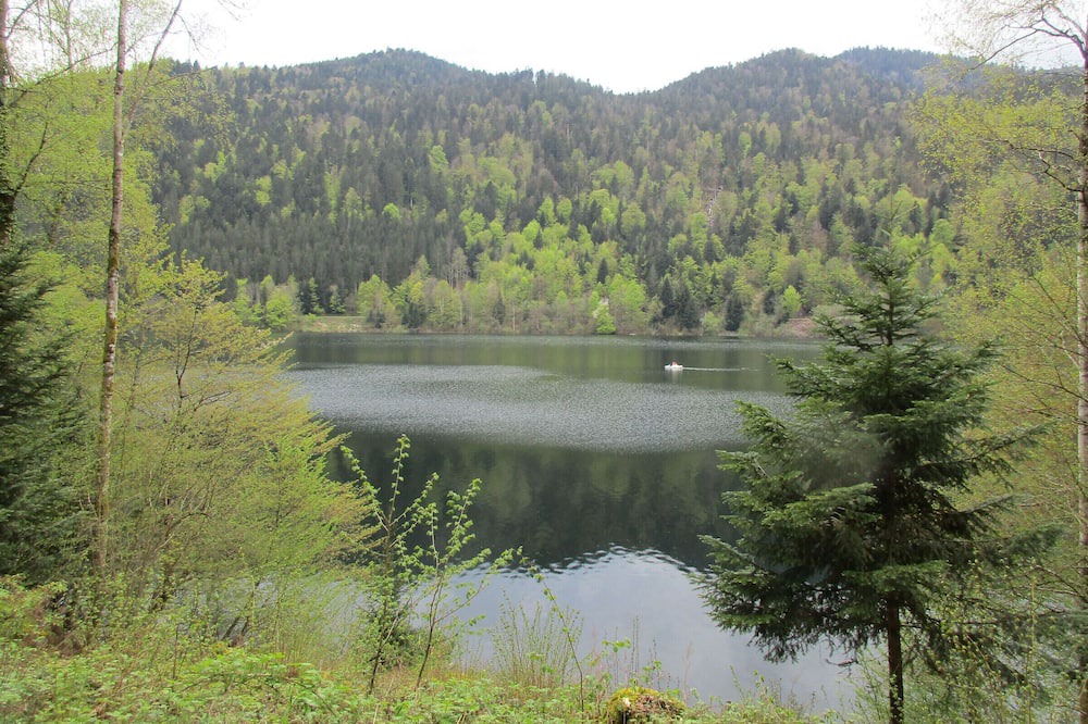 Photo of Others in Saint-Amarin