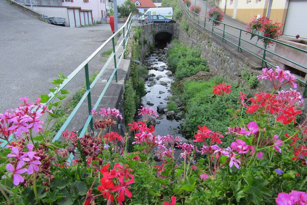 Photo of Outdoor in Saint-Amarin