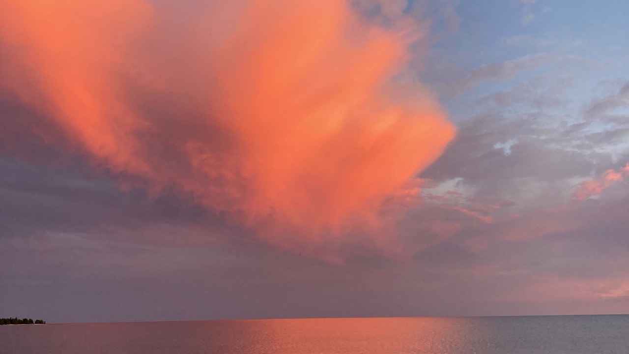 Photo of Others in Northern Bruce Peninsula