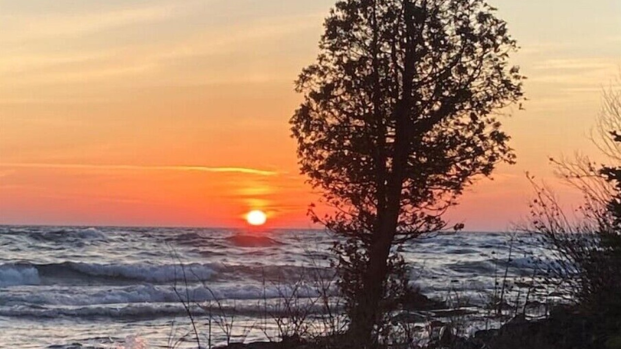 Photo of Others in Northern Bruce Peninsula