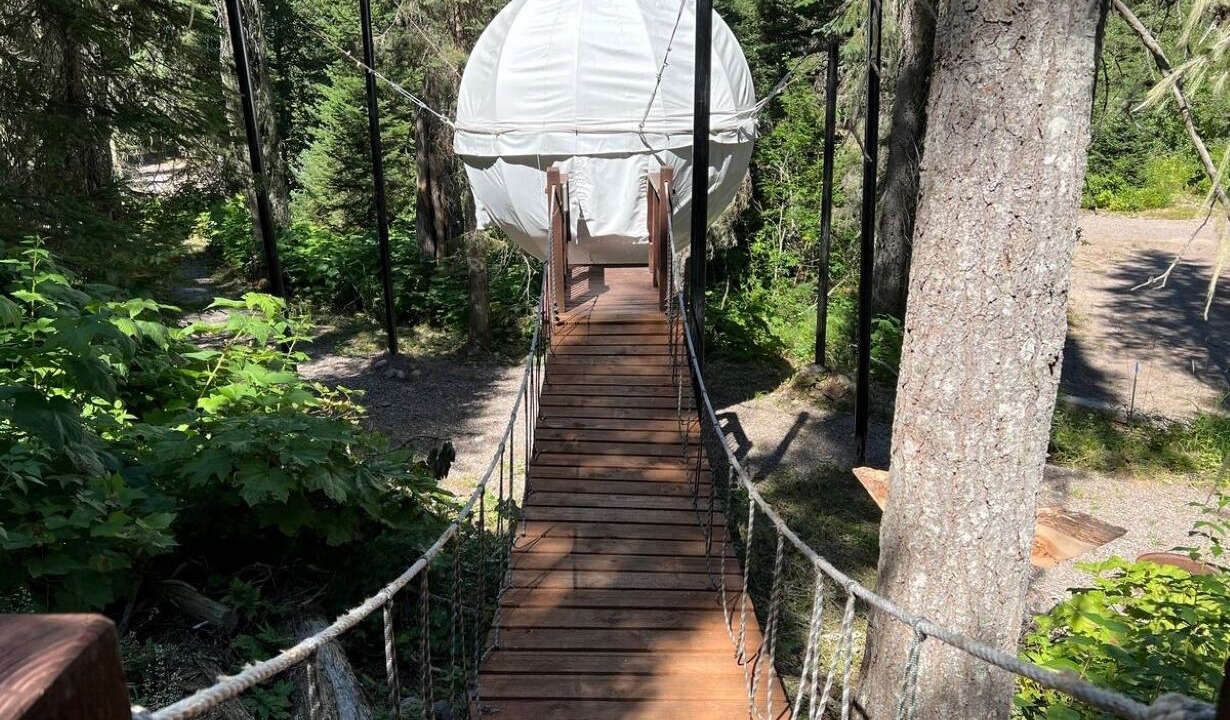 Photo of Others in West Glacier