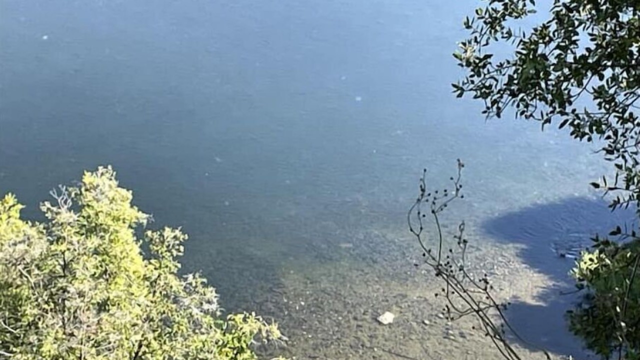 Photo of Others in Fair Oaks