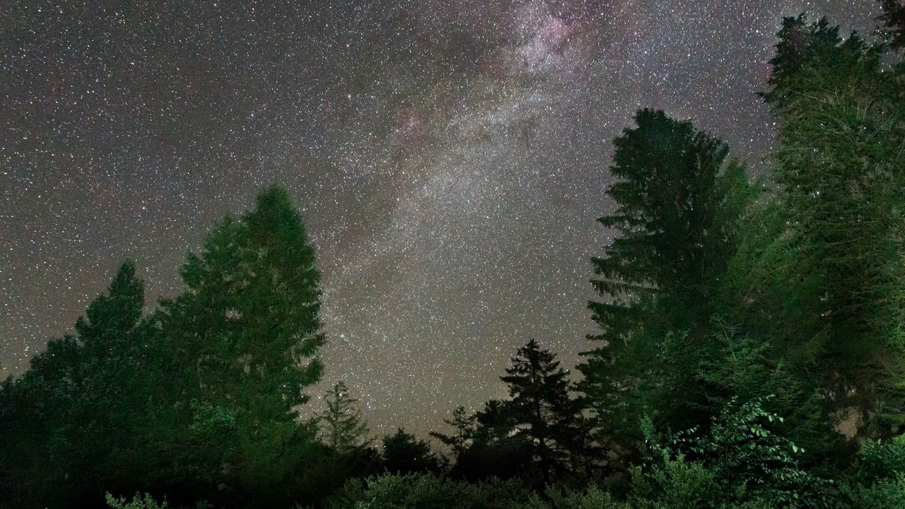 Photo of Outdoor in Davis