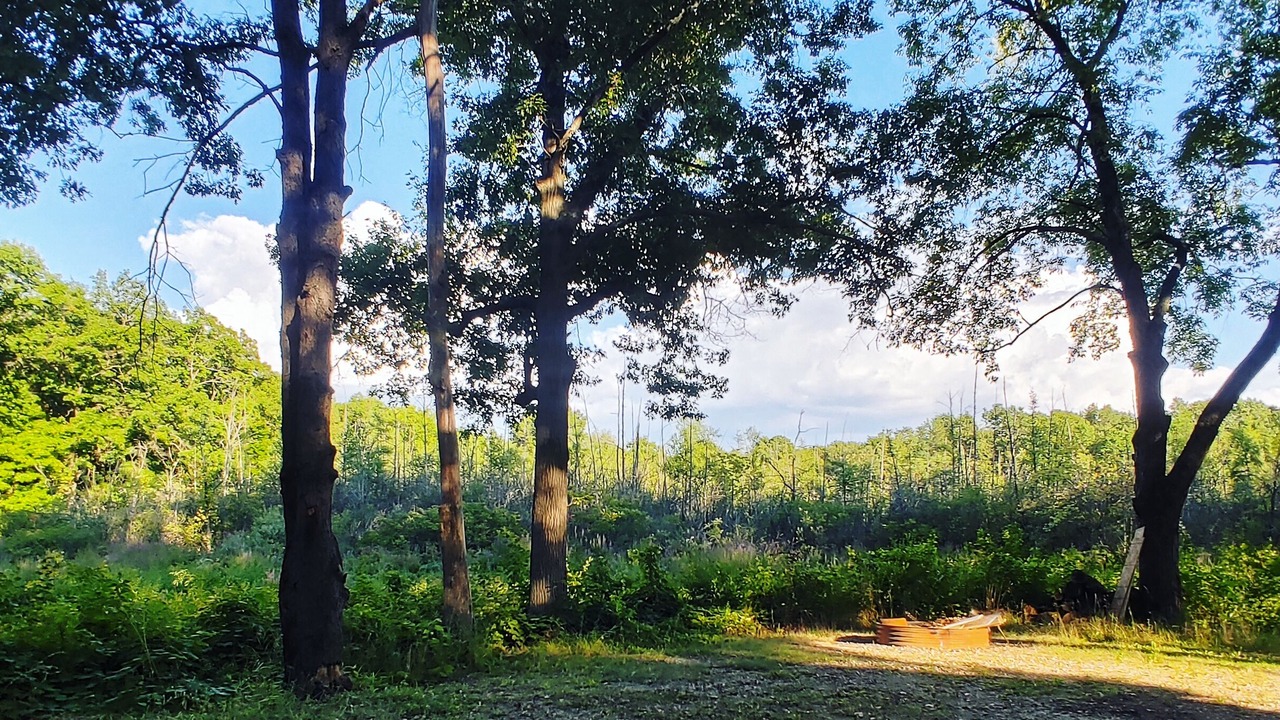 Photo of Others in Drayton Plains