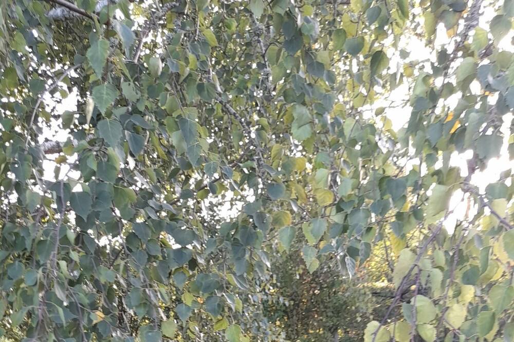 Photo of Outdoor in Bouges-le-Chateau