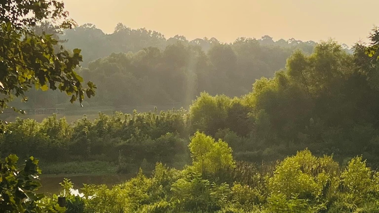 Photo of Outdoor in Jackson