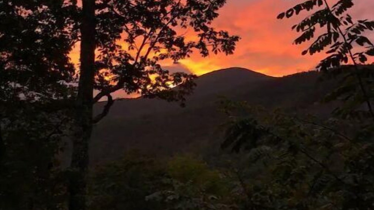 Photo of Outdoor in Scaly Mountain
