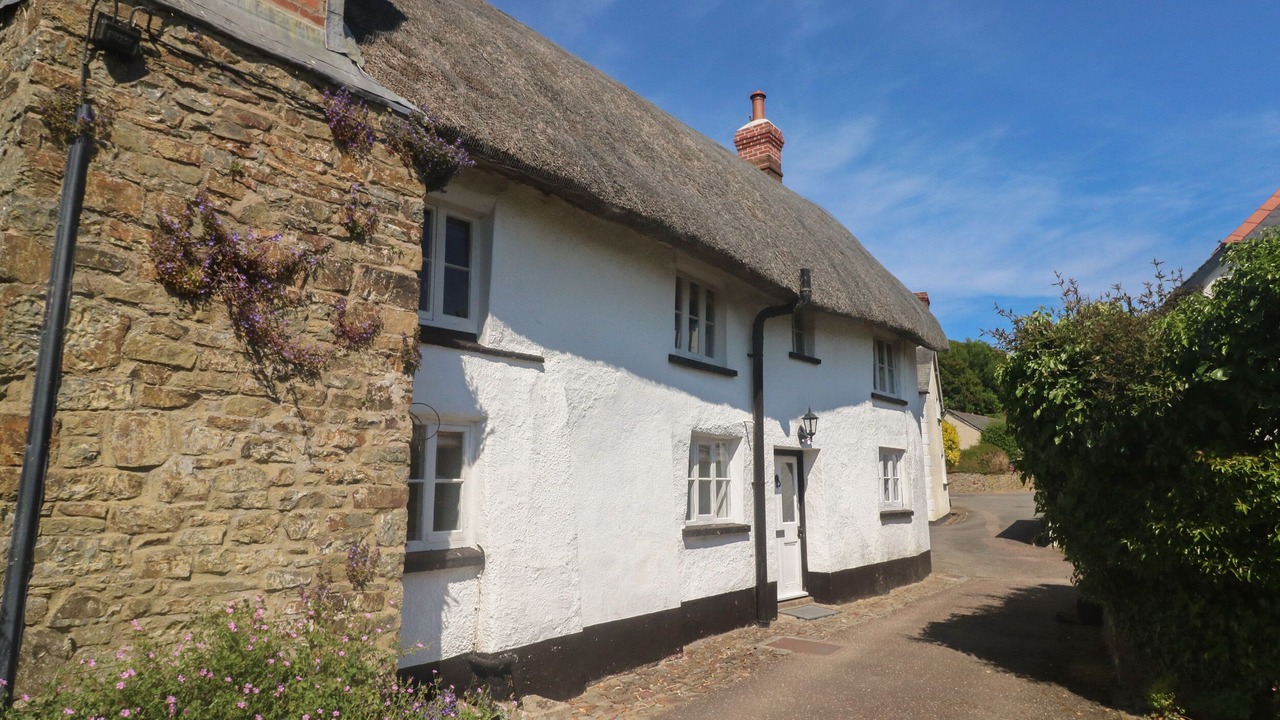 Photo of Outdoor in Kings Nympton