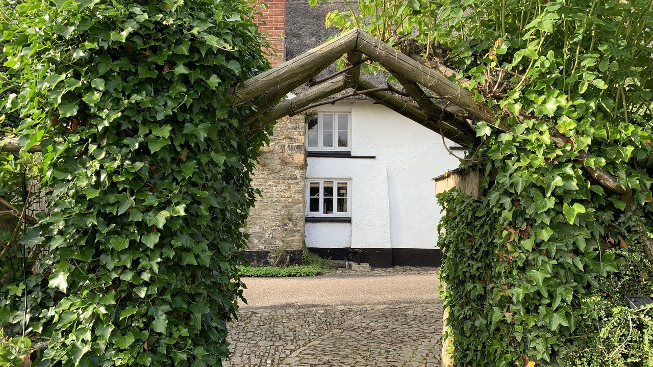 Photo of Outdoor in Kings Nympton