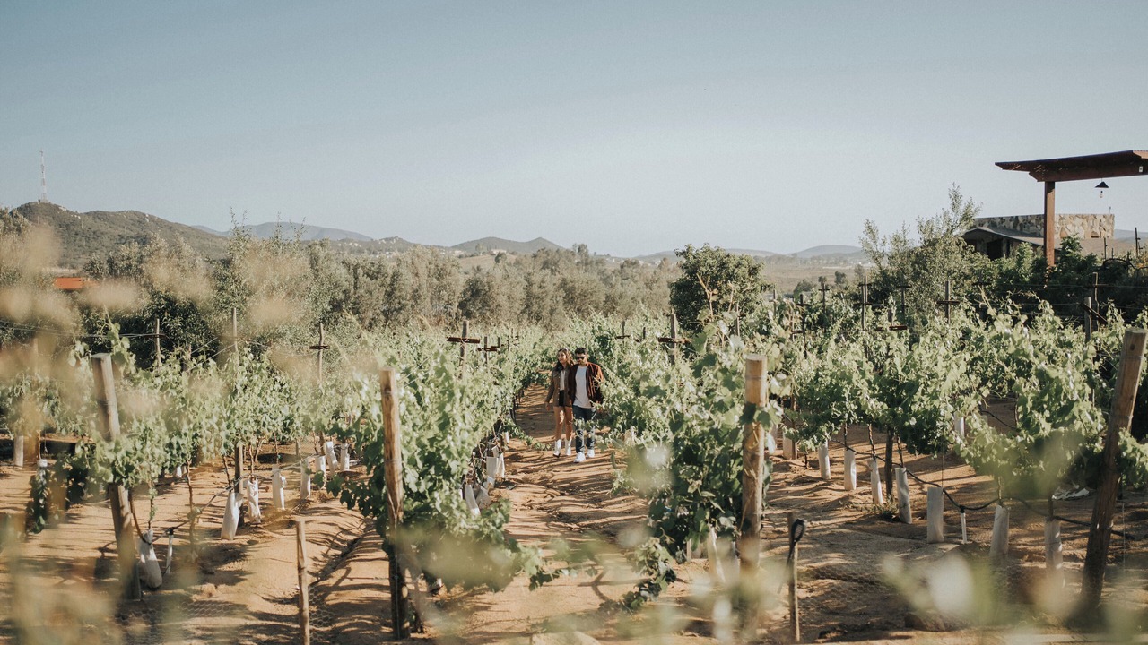 Photo of Outdoor in Valle de Guadalupe