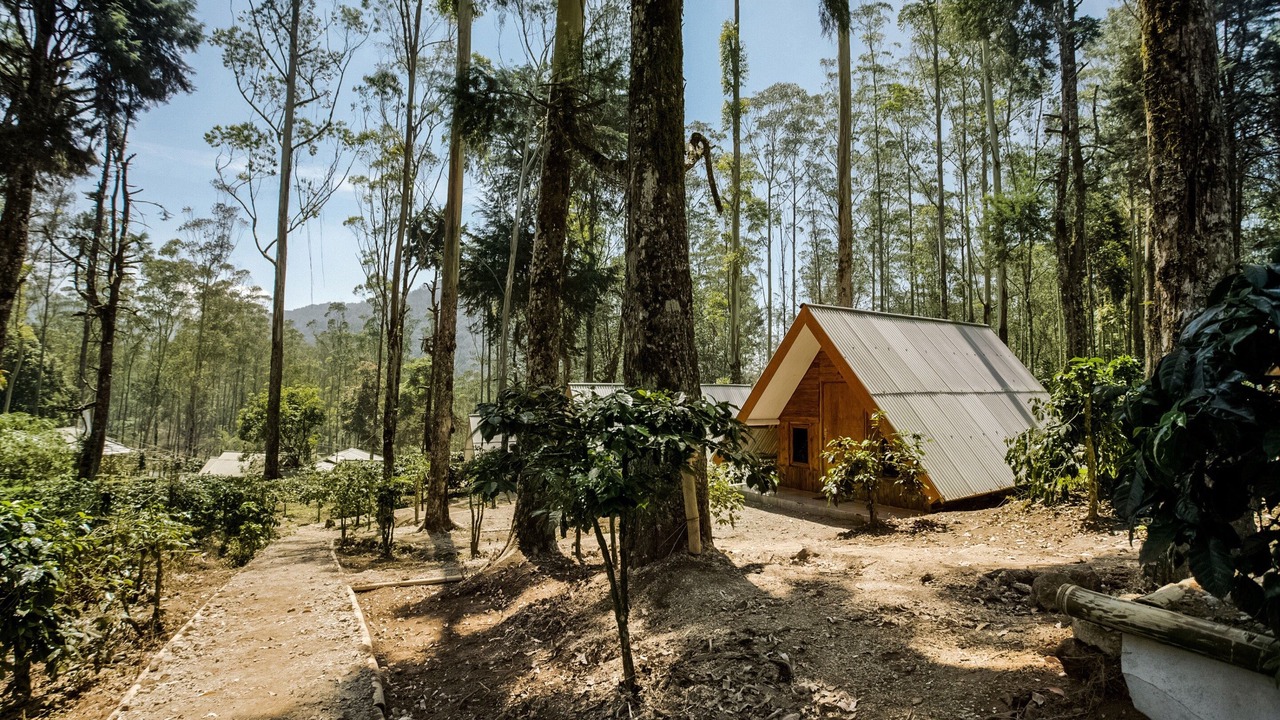 Photo of Outdoor in Rancabali