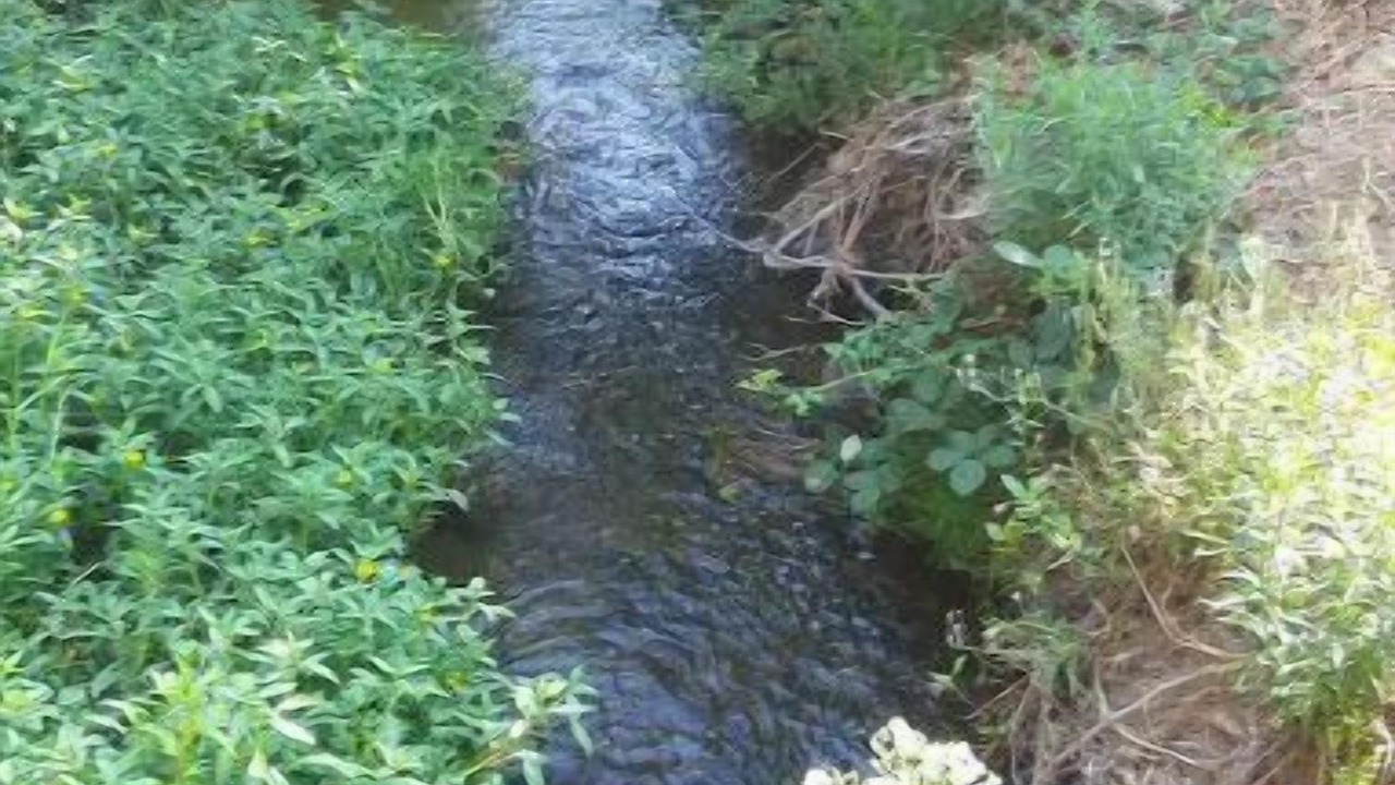 Photo of Outdoor in Auburn