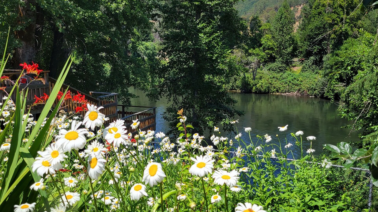 Photo of Outdoor in Gold Hill