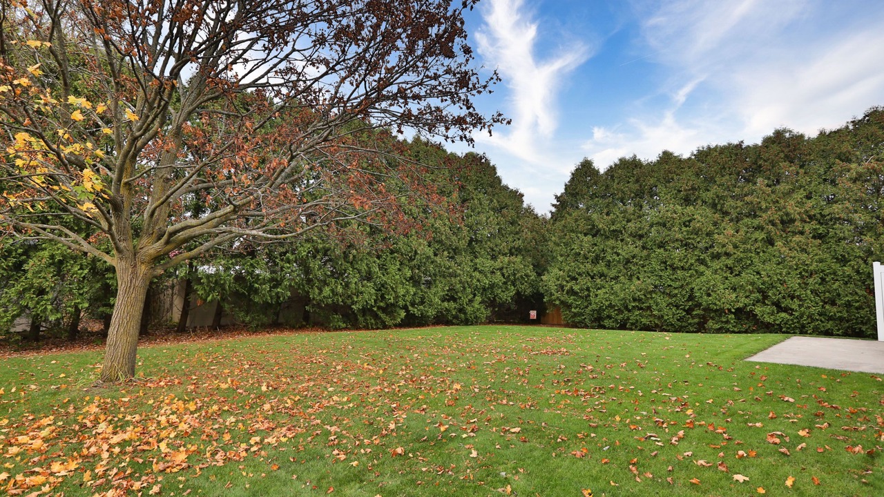 Photo of Outdoor in Brockport