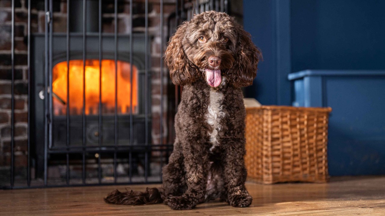 Photo of Others in Reepham