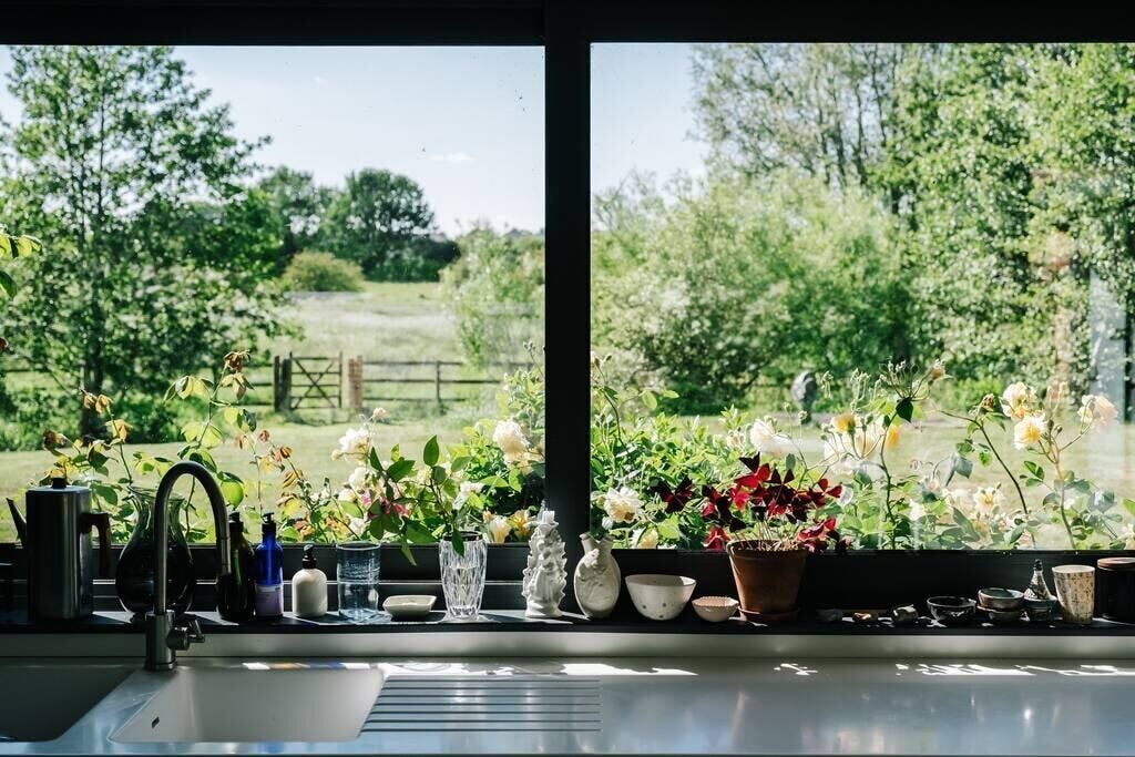 Photo of Others in Eye