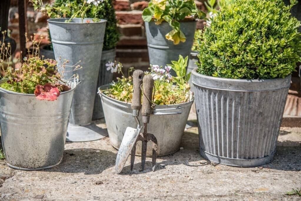 Photo of Outdoor in Eye