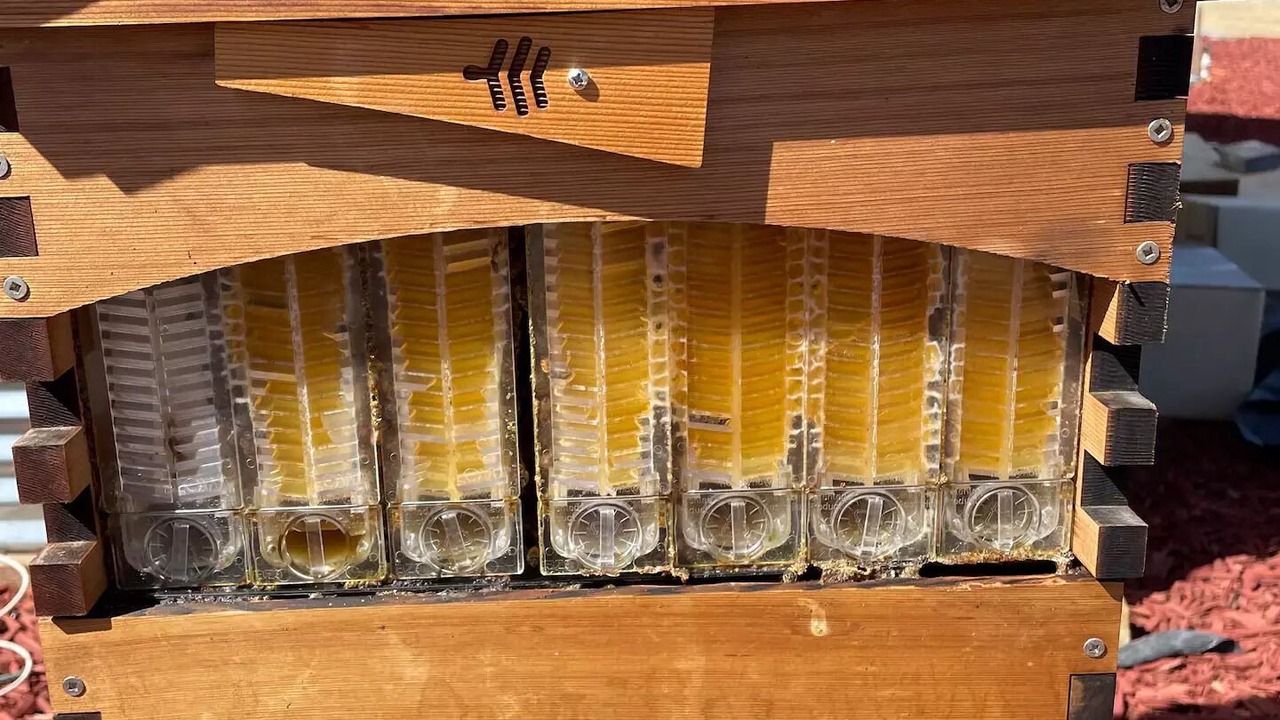 Photo of Others in Hollister