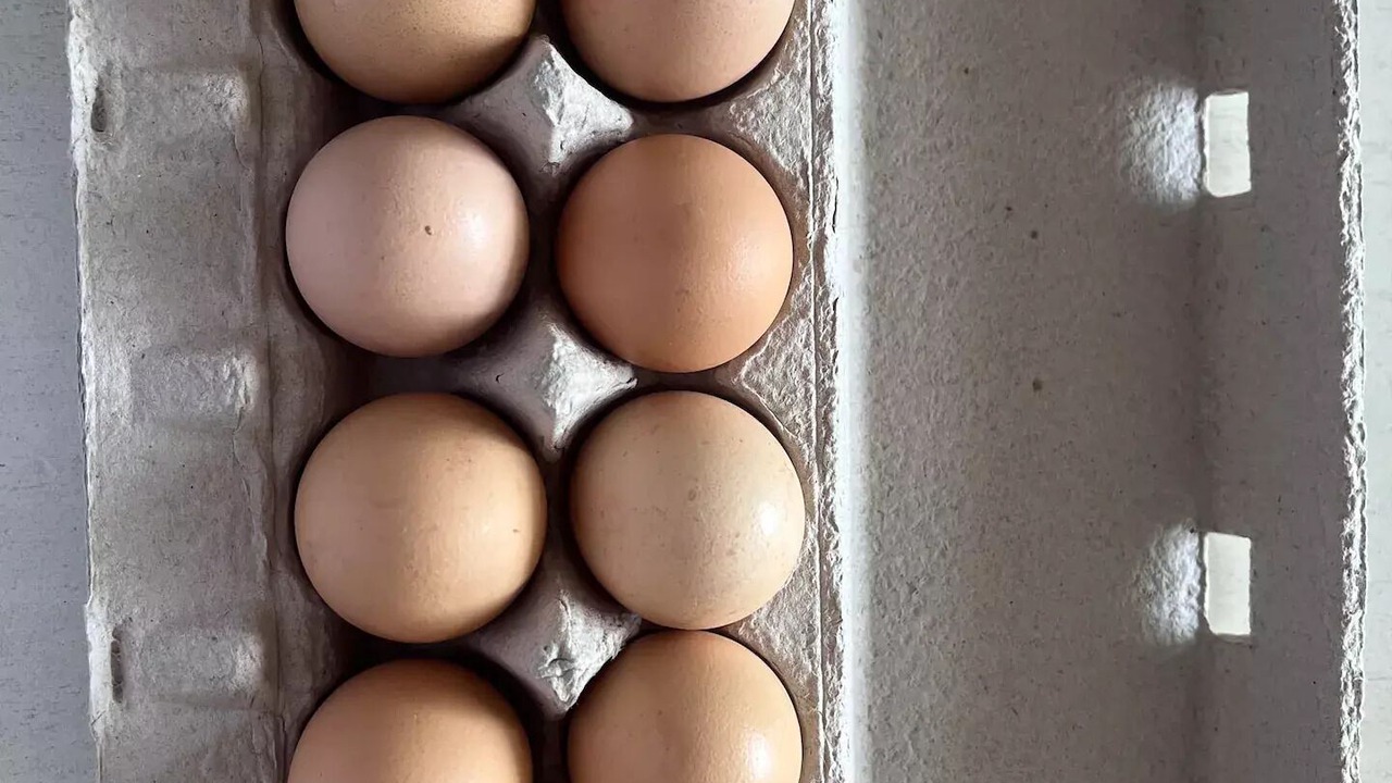 Photo of Others in Hollister